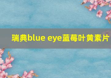 瑞典blue eye蓝莓叶黄素片